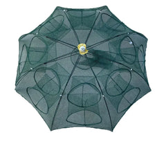 Paraplymjärde