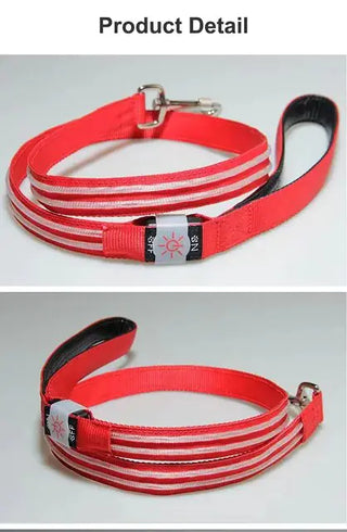 Blinkande LED-hundkoppel (vattentätt)
